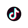 Expertos en TikTok